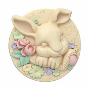 Medalis - Miegantis triušis